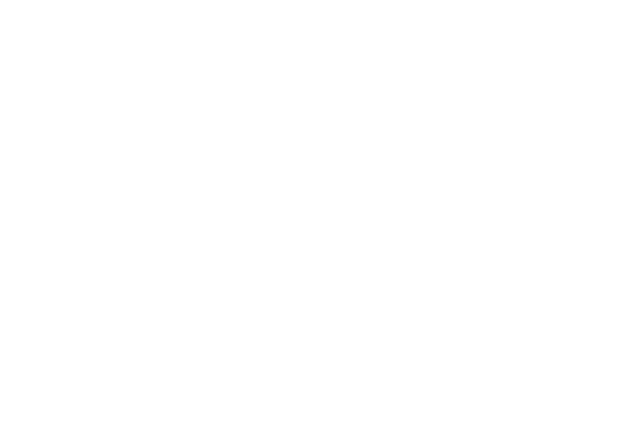 Lujituspartio